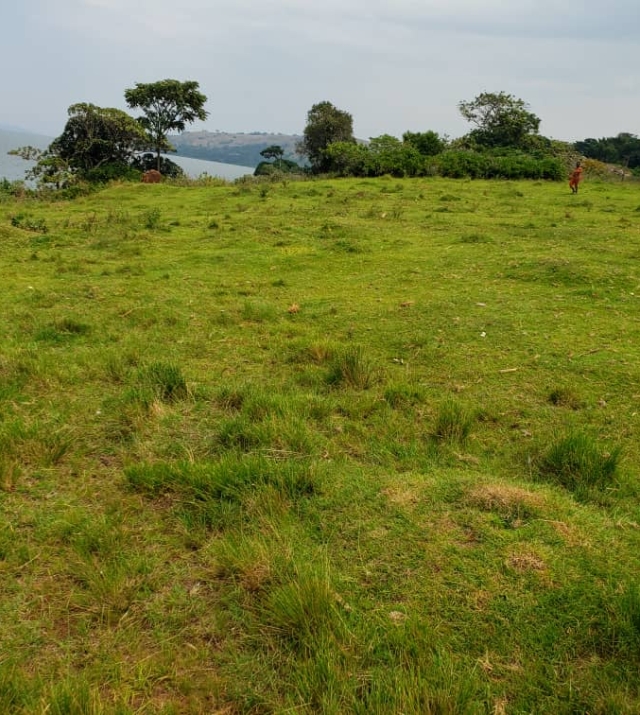 WhatsApp Image 2022-07-15 at 8.50.56 PM.jpeg